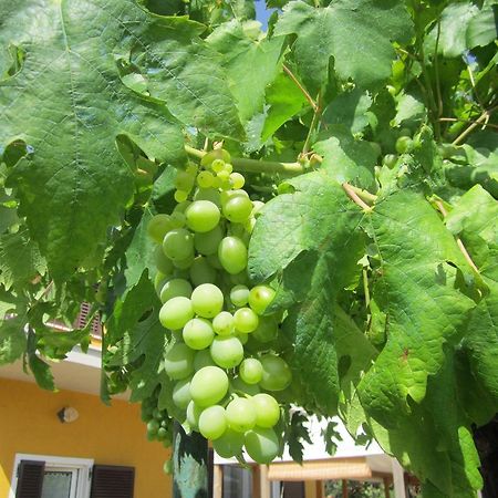 Agriturismo La Carlina Villa Magliano in Toscana Eksteriør bilde