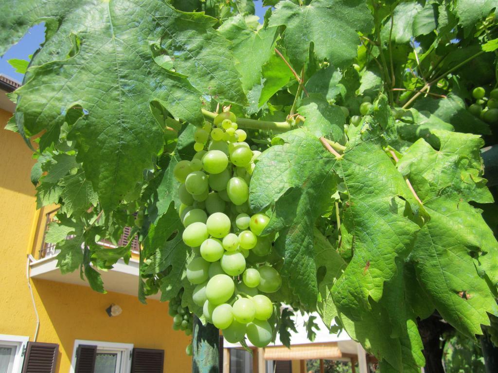 Agriturismo La Carlina Villa Magliano in Toscana Eksteriør bilde