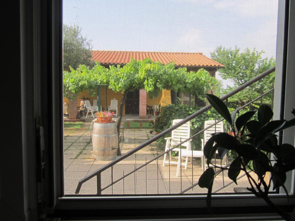 Agriturismo La Carlina Villa Magliano in Toscana Eksteriør bilde