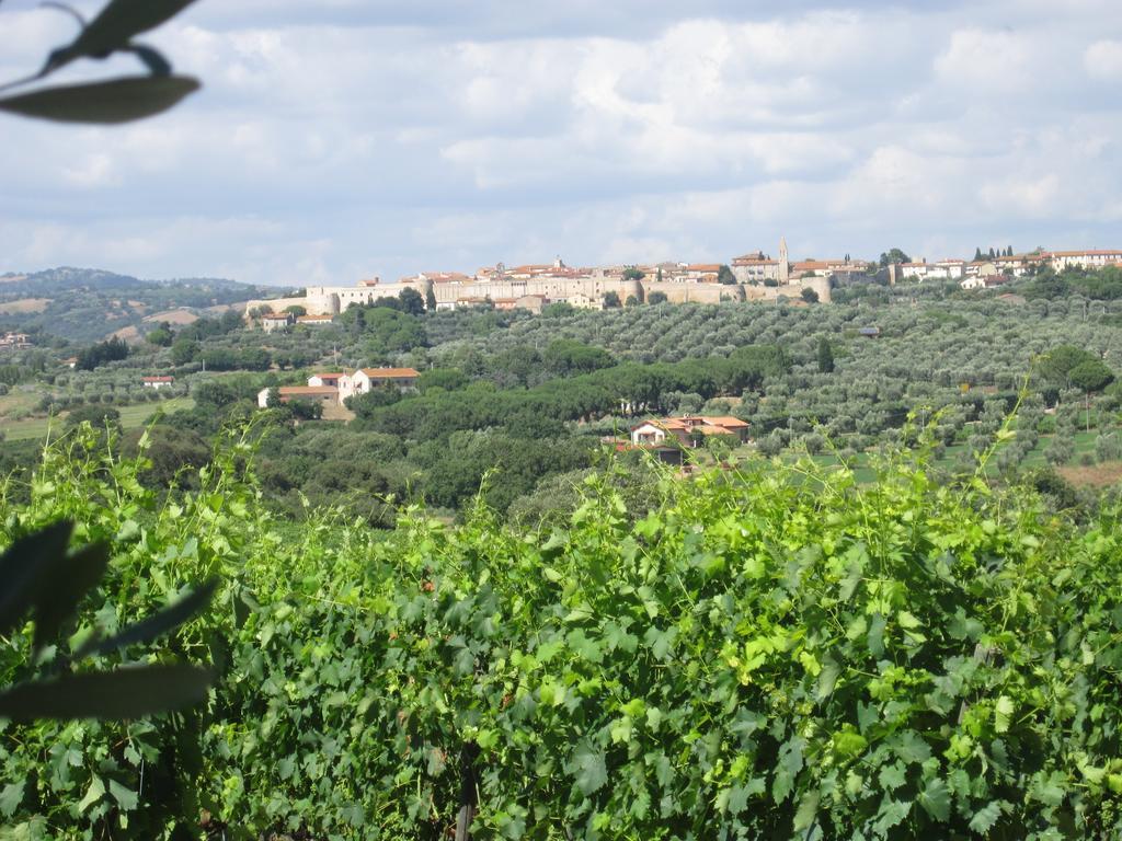 Agriturismo La Carlina Villa Magliano in Toscana Eksteriør bilde