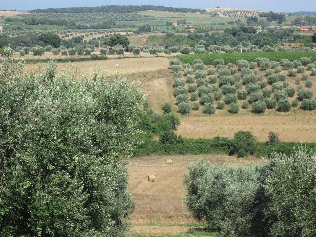 Agriturismo La Carlina Villa Magliano in Toscana Eksteriør bilde