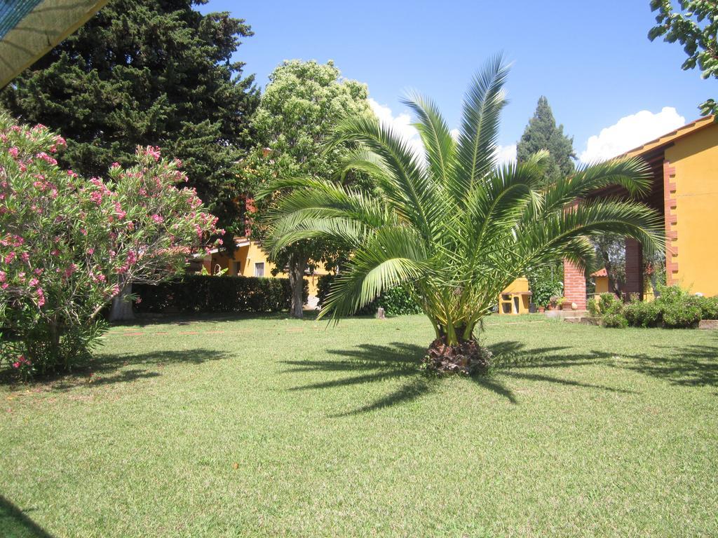 Agriturismo La Carlina Villa Magliano in Toscana Eksteriør bilde