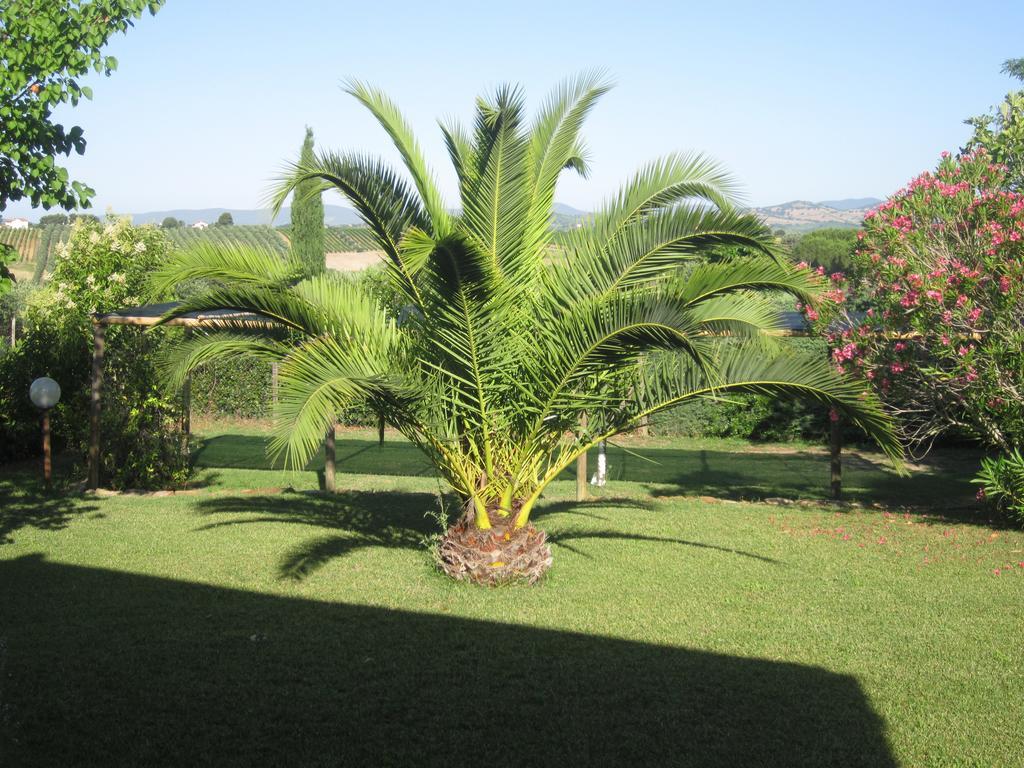 Agriturismo La Carlina Villa Magliano in Toscana Eksteriør bilde