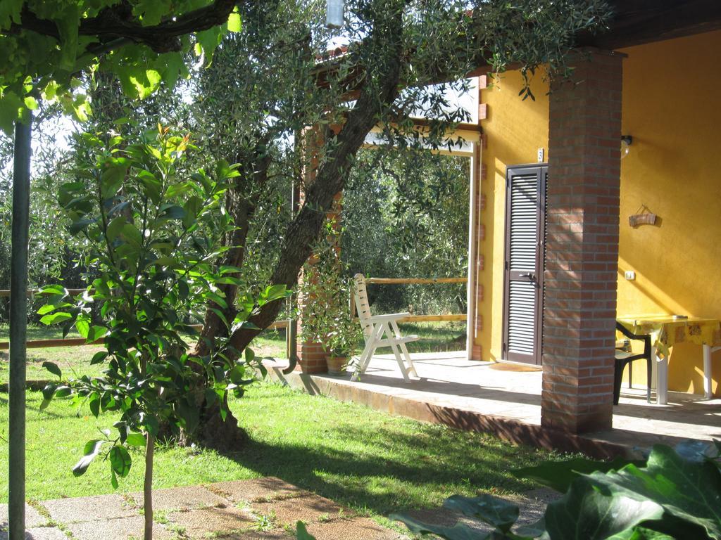 Agriturismo La Carlina Villa Magliano in Toscana Rom bilde